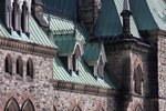 IMG_3529