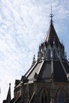 IMG_3531