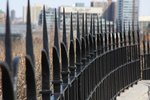 IMG_3536