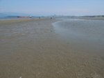R0011818