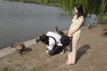 CRW_0174