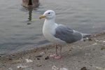CRW_0182