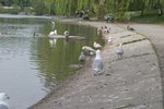 CRW_0183