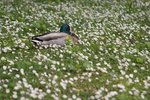 CRW_0277