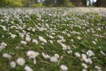 CRW_0280