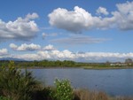 DSC02219