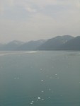 DSC03184