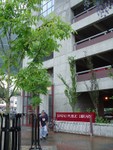 DSC03428