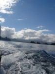DSC03591