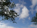 DSC03607