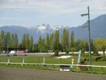 DSC04335