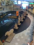 Camera Roll 84