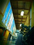 IMG_0594