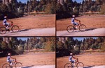 lomo 20