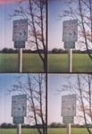 lomo 22