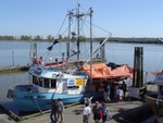 DSC01952