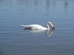 DSC01980