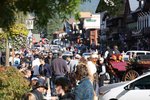 IMG_2249
