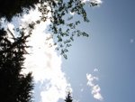 R0011938