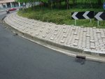 DSCF7973