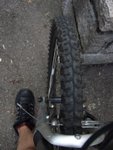 DSCF7983