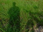 DSCF8043