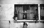 IMG_4230