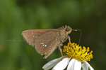 P1180645