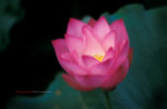Scan_0094