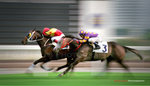 Horse_race
