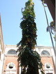 DSCF3419