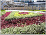 R0010017