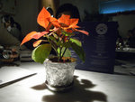 R0011848