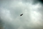 Img0529