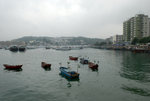Img0539