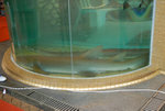 Img0555