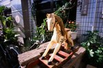 4111_Contax G2_Biogon 21 F2.8_RDP III