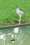 DSC_6831e