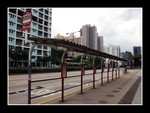 DSC_9914e