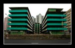 DSC_9925e