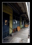 DSC_9929e