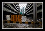DSC_9938e