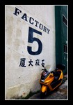 DSC_9942e