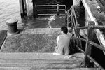 1214_Leica MP_Summicron-M 50_Tmax 400@800