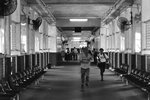 1221_Leica MP_Summicron-M 50_Tmax 400@800
