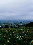 1512_Contax 645_Planar 80 F2_E100VS