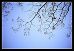 02970016e