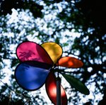 0202_Rolleiflex 2.8FX_RVP 50