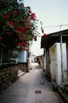 4527_Contax G2_Biogon 21 F2.8_RDP III