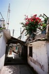 4528_Contax G2_Biogon 21 F2.8_RDP III